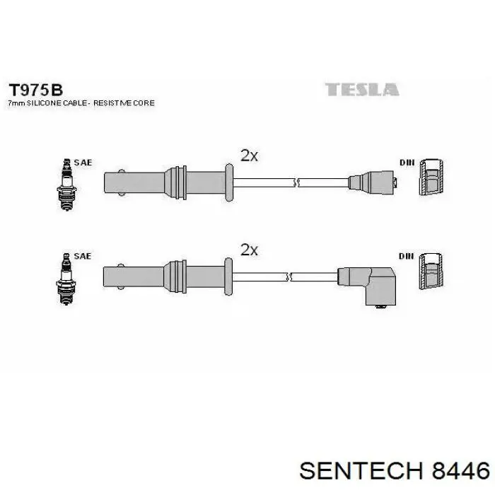  8446 Sentech