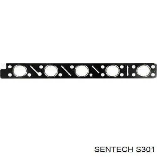  S301 Sentech