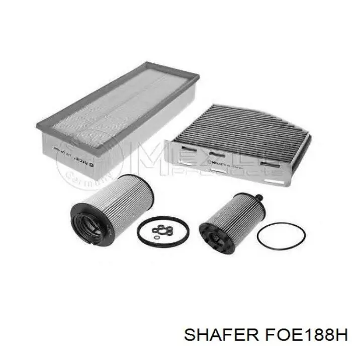 FOE188H Shafer