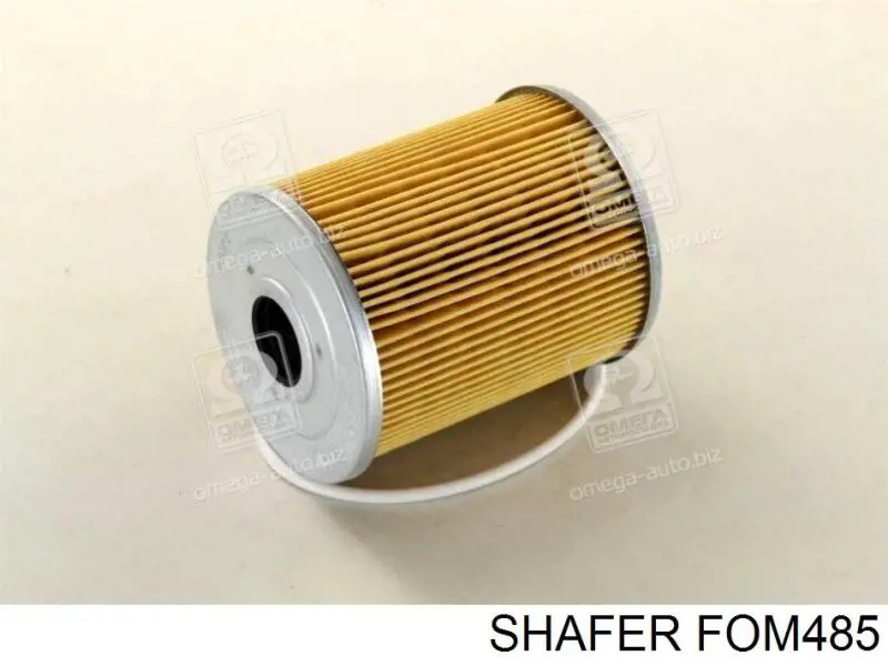 FOM485 Shafer