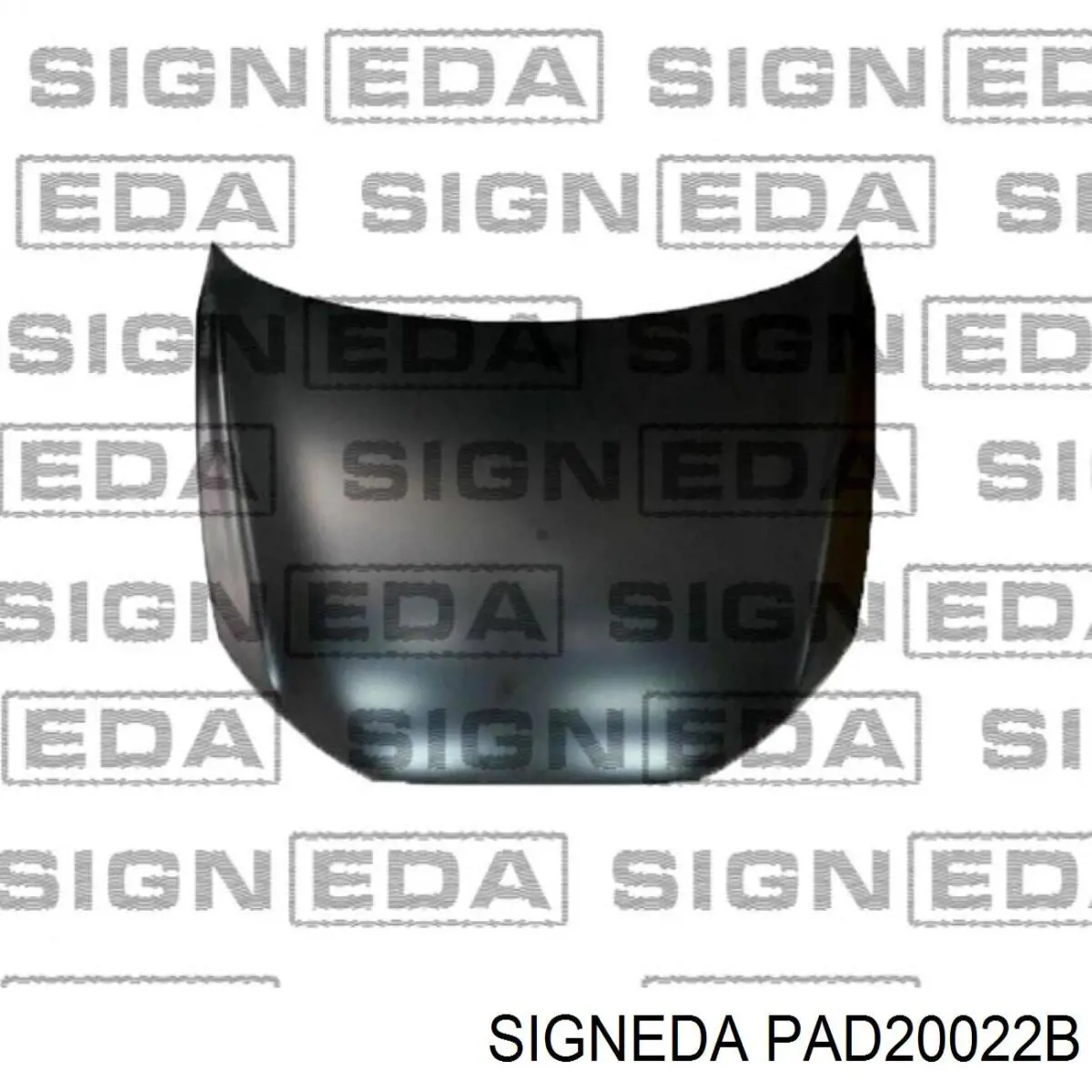  PAD20022B Signeda