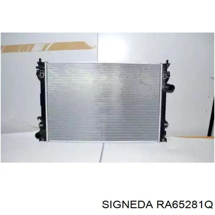 Радиатор RA65281Q Signeda