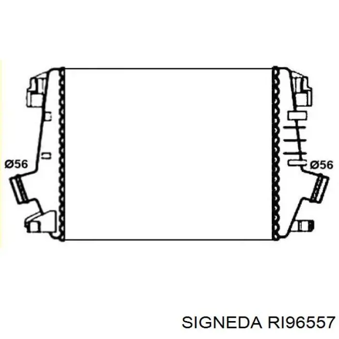 RI96557 Signeda интеркулер