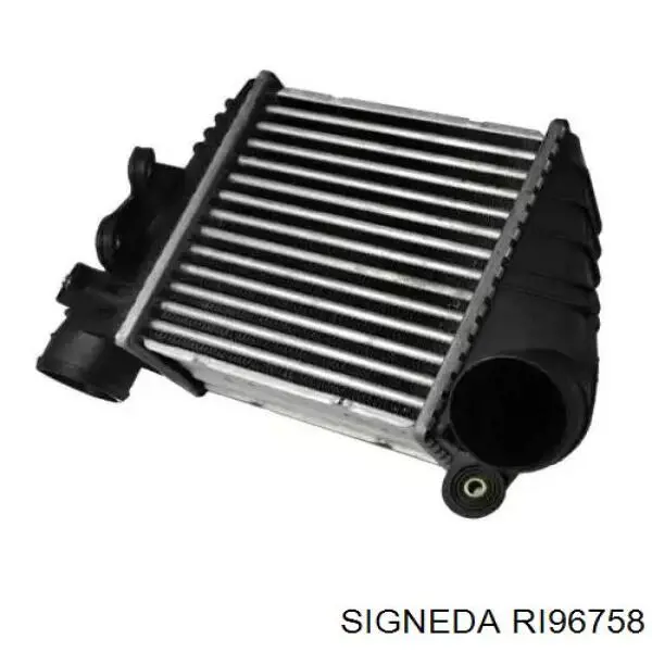 Интеркулер RI96758 Signeda