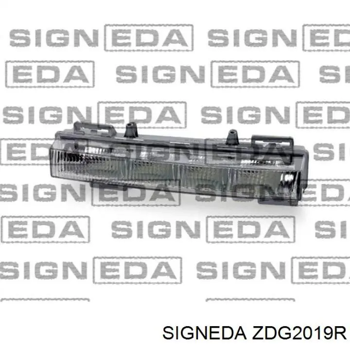 ZDG2019R Signeda Противотуманка правая