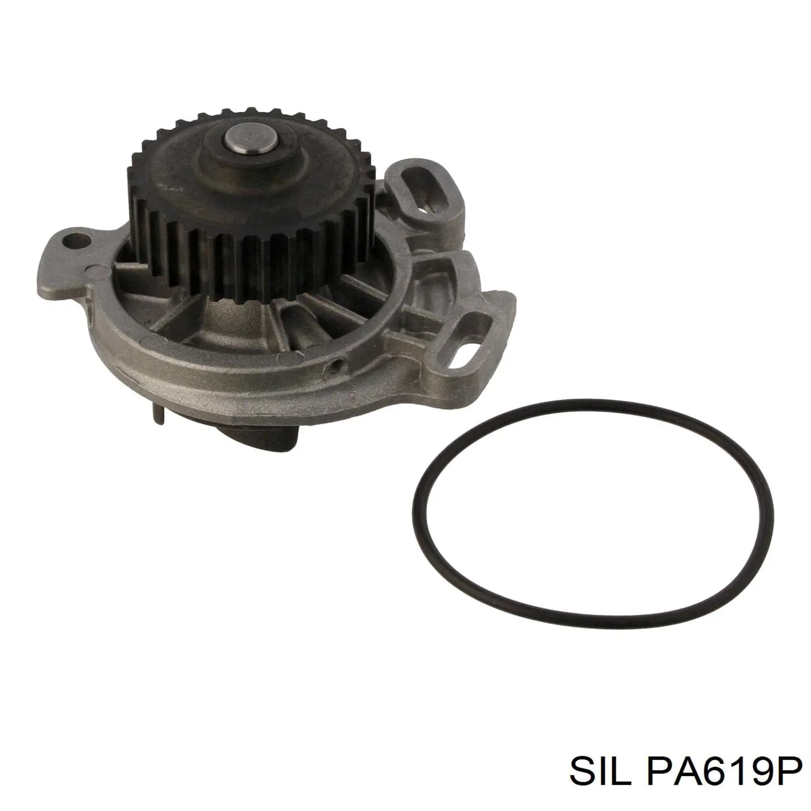 PA619P SIL