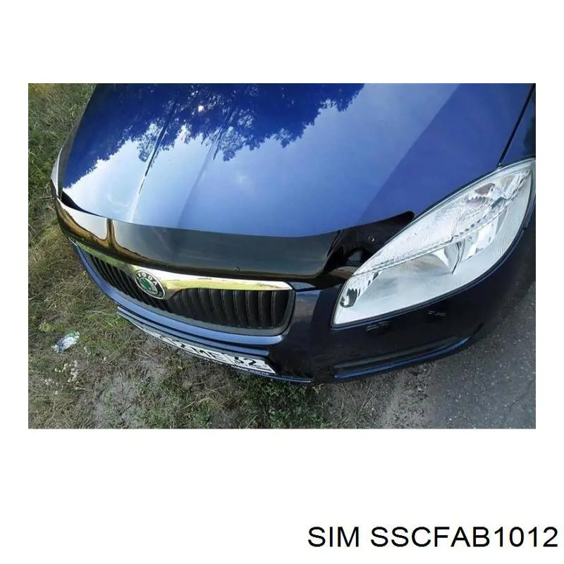 Грязеотбойник капота Skoda Fabia II хэтчбек (5J2, 542, 572, 582) (2006 - 2014) цена, от 61.02 USD