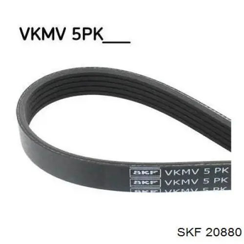  20880 SKF