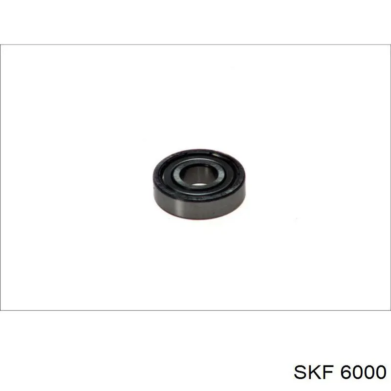 6000 SKF 