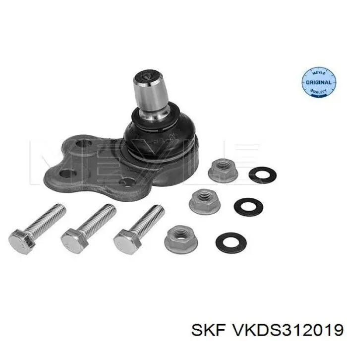 VKDS312019 SKF