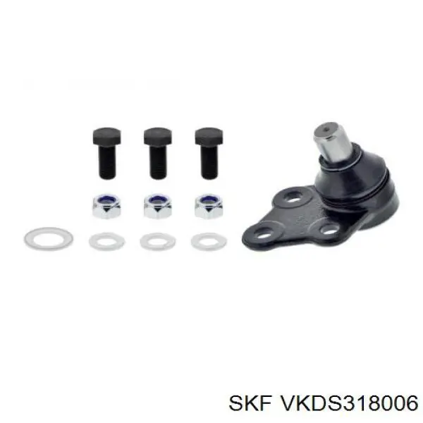 VKDS318006 SKF