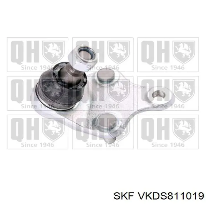 Нижняя шаровая опора VKDS811019 SKF