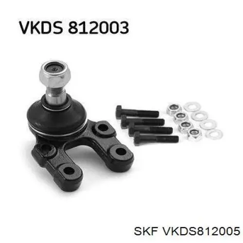 VKDS812005 SKF