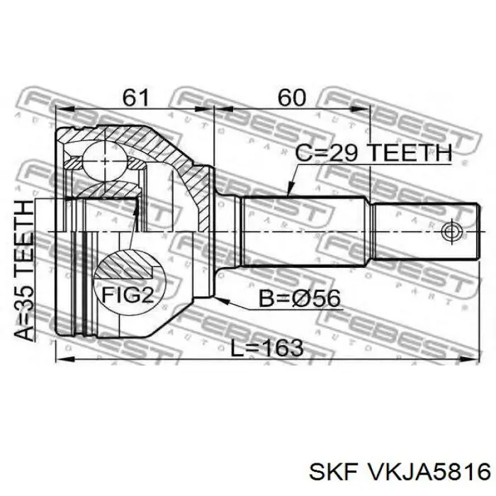 Граната колесная SKF VKJA5816 цена, от 42.33 USD