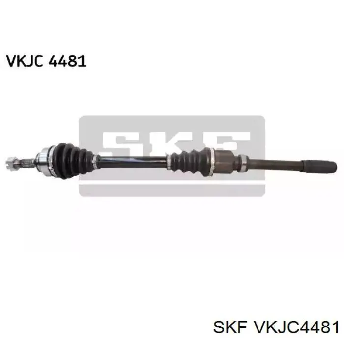 VKJC 4481 SKF semieixo (acionador dianteiro direito)