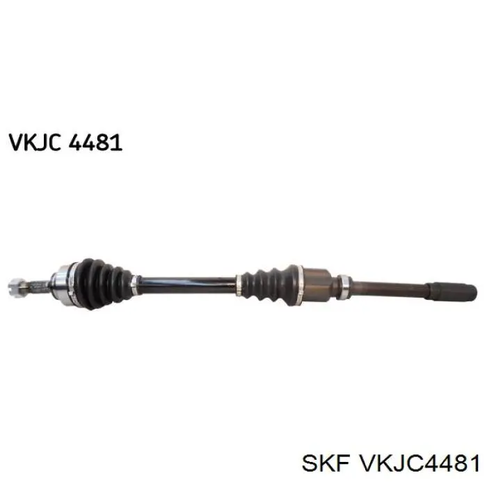 VKJC4481 SKF