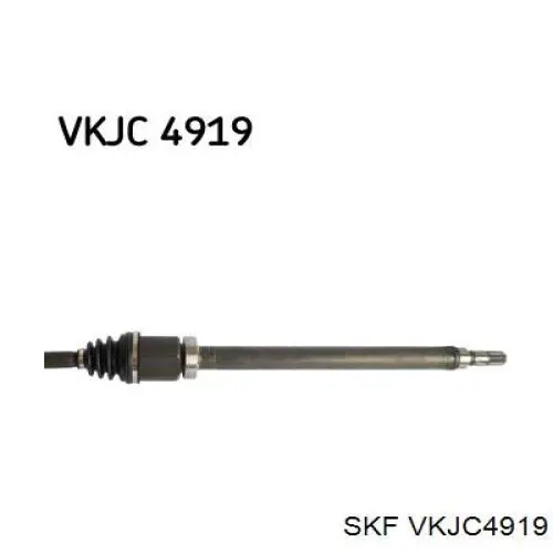 VKJC4919 SKF semieixo (acionador dianteiro direito)