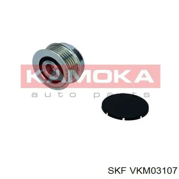 Poleas juego de piezas VKM03107 SKF