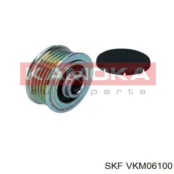 VKM06100 SKF