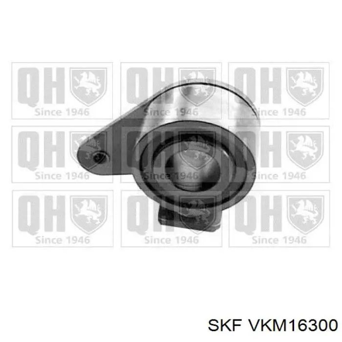 VKM16300 SKF