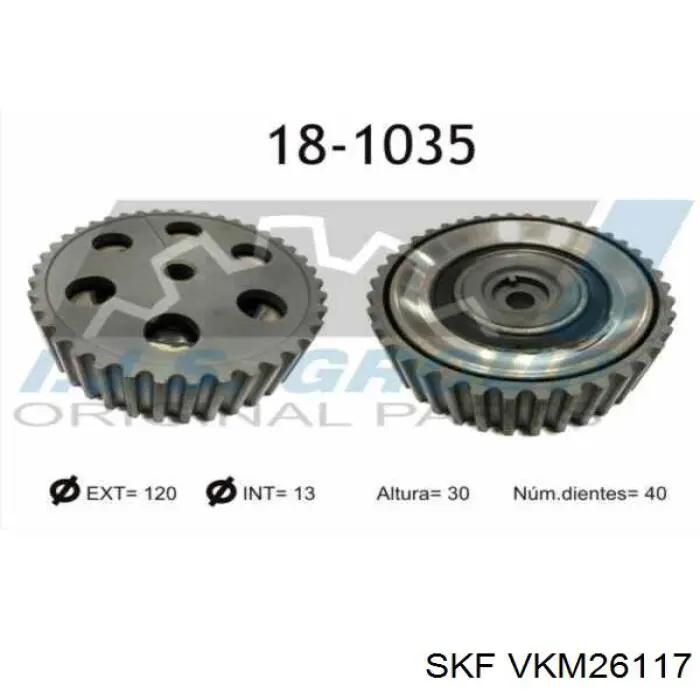 Piñón cadena distribución VKM26117 SKF