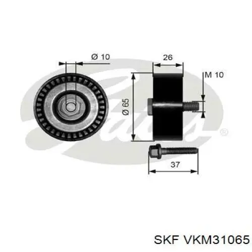 VKM31065 SKF