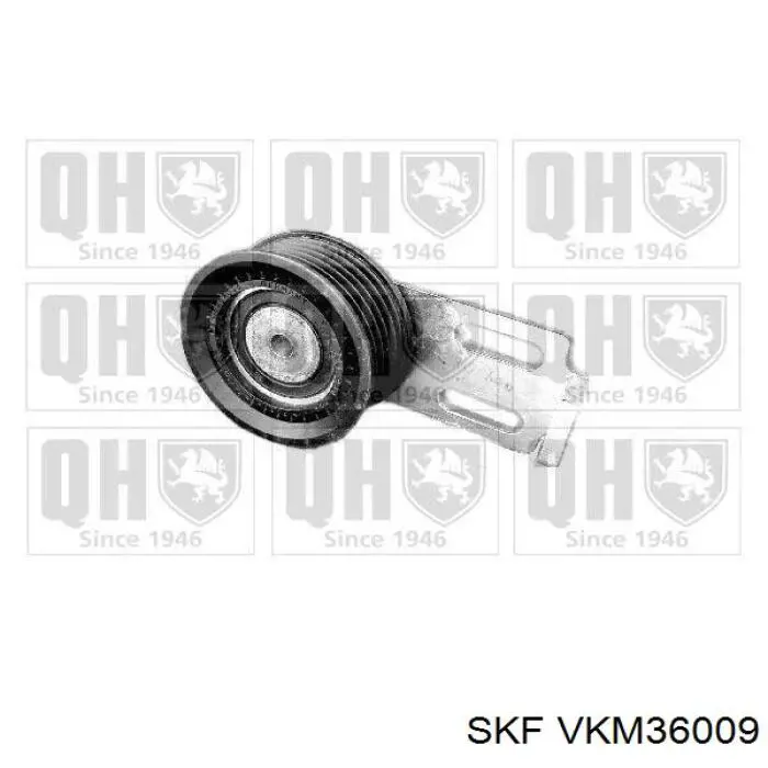 VKM36009 SKF