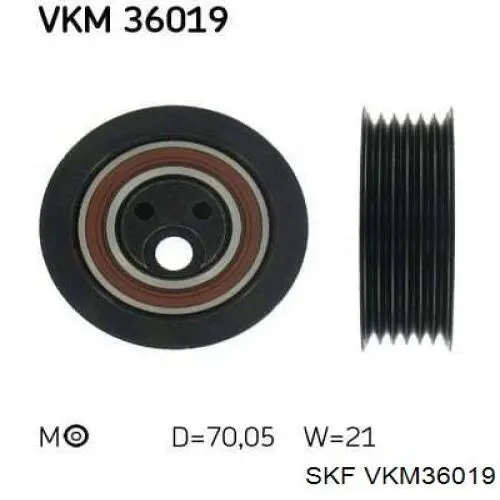 VKM36019 SKF натяжной ролик