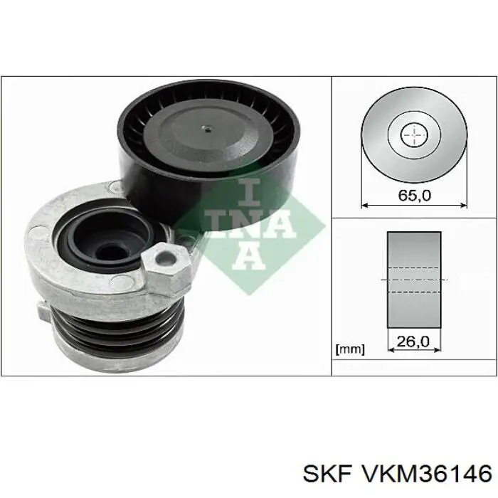 Tensor de correa, correa poli V VKM36146 SKF