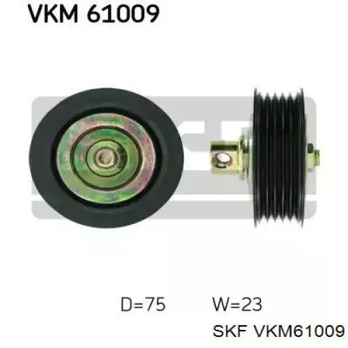 VKM61009 SKF