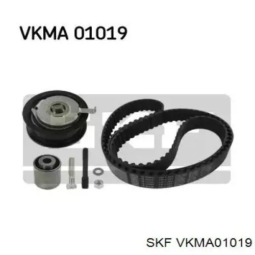 Kit correa de distribución VKMA01019 SKF