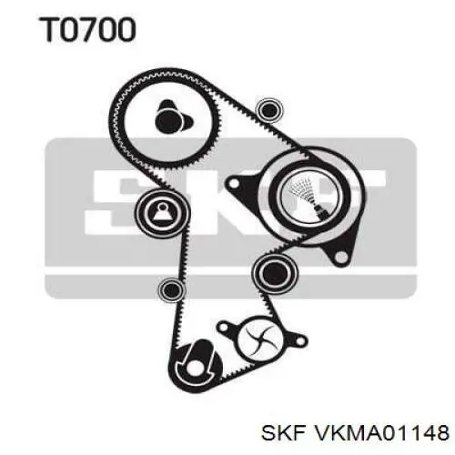 Kit correa de distribución VKMA01148 SKF