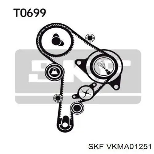 Kit correa de distribución VKMA01251 SKF