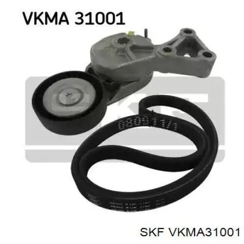 Ремень приводной VKMA31001 SKF