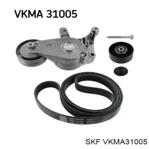 VKMA 31005 SKF correia dos conjuntos de transmissão, kit