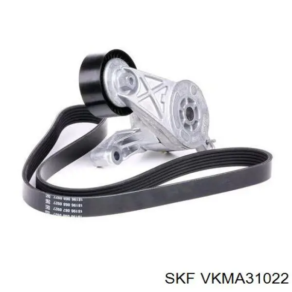 VKMA 31022 SKF ремень агрегатов приводной, комплект