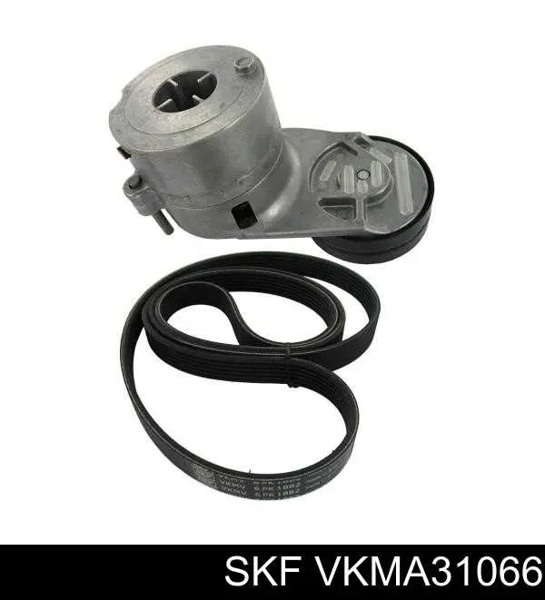 Ремень приводной VKMA31066 SKF