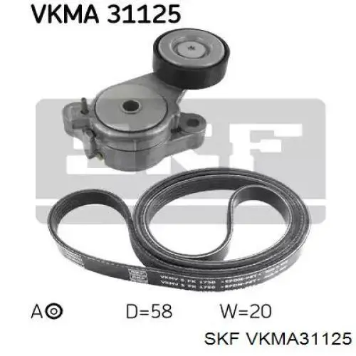 VKMA 31125 SKF correia dos conjuntos de transmissão, kit