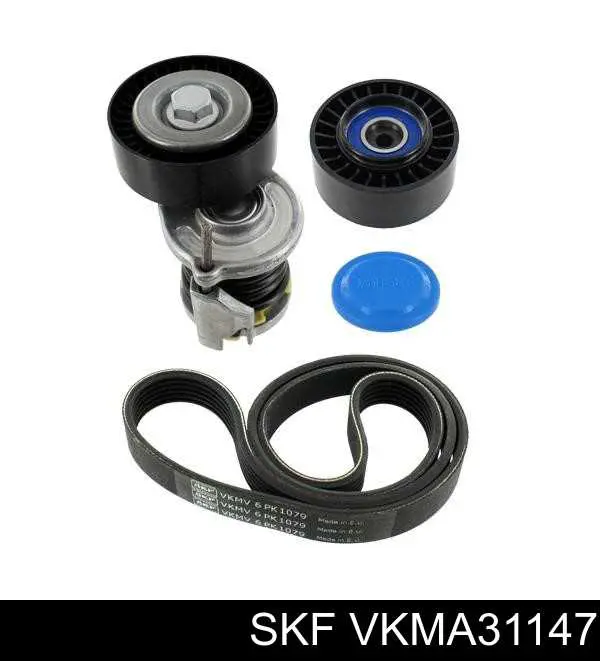 VKMA31147 SKF correia dos conjuntos de transmissão, kit