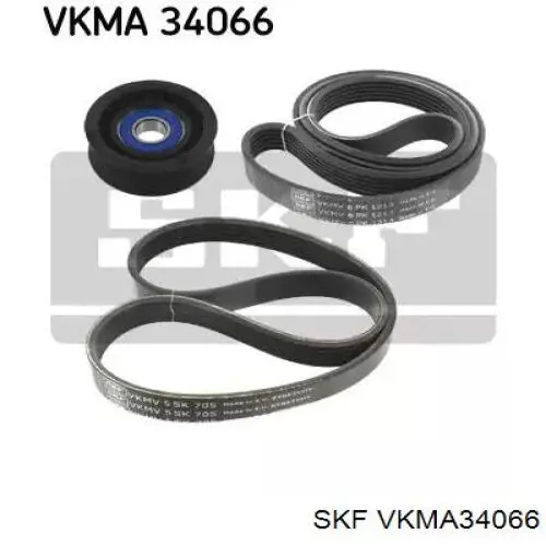 VKMA34066 SKF correia dos conjuntos de transmissão