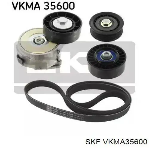 VKMA 35600 SKF correia dos conjuntos de transmissão, kit
