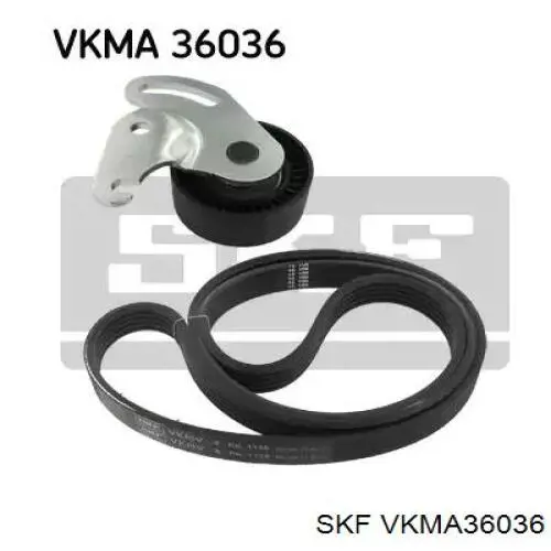 VKMA 36036 SKF correia dos conjuntos de transmissão, kit