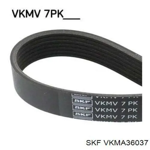 VKMA36037 SKF