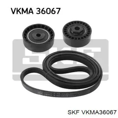 VKMA36067 SKF correia dos conjuntos de transmissão, kit