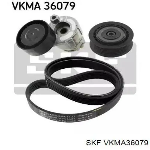 VKMA36079 SKF