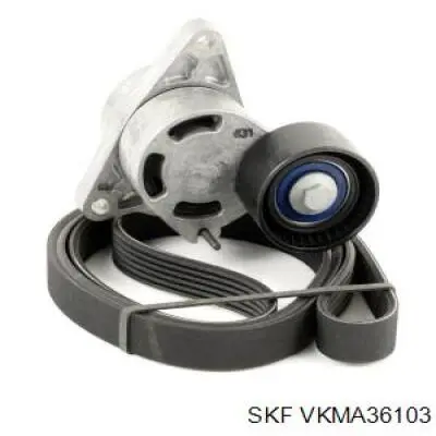 VKMA36103 SKF комплект грм