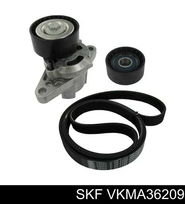 VKMA36209 SKF ремень агрегатов приводной, комплект