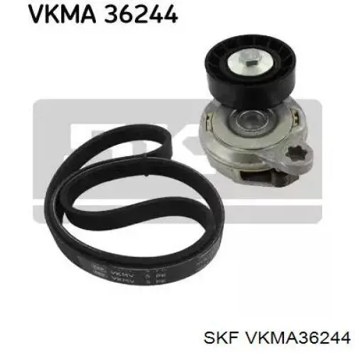 VKMA 36244 SKF correia dos conjuntos de transmissão, kit