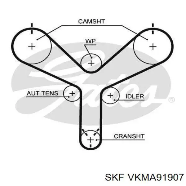 VKMA91907 SKF комплект грм