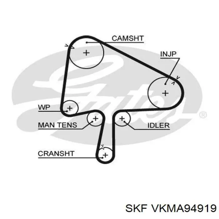 Комплект ГРМ VKMA94919 SKF